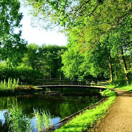 The Palace - R.q.c. Haag