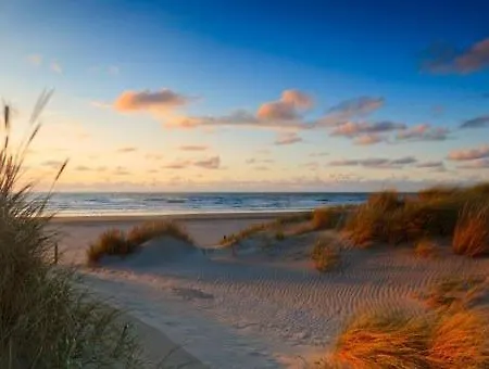 The Palace - R.q.c. *