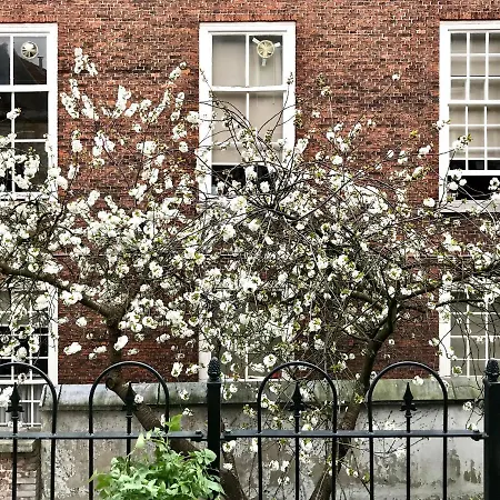 Apartman The Palace - R.q.c. Hága