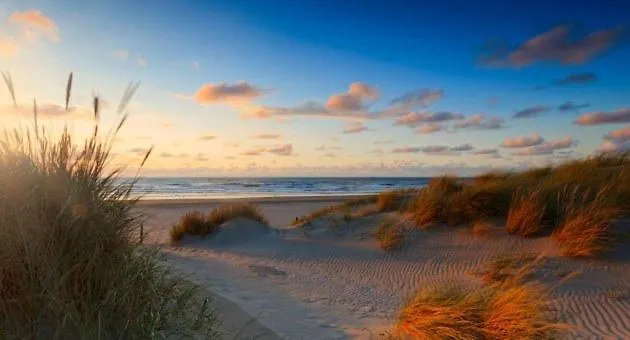 The Palace - R.q.c. *