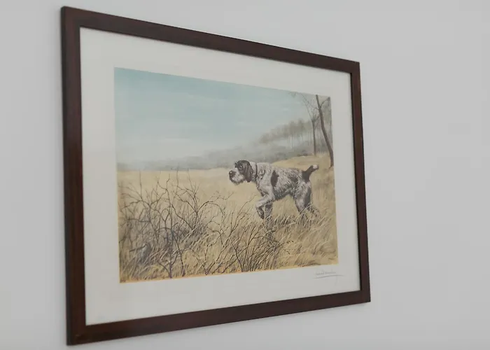 The Palace - R.q.c. *